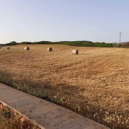 Alojamento de Acomodação e Pequeno-almoço Perdalonga 3*
