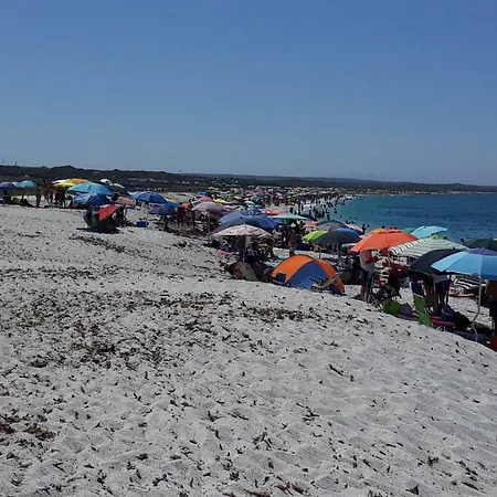 贝尔达隆加住宿加早餐旅馆 住宿加早餐酒店 3*